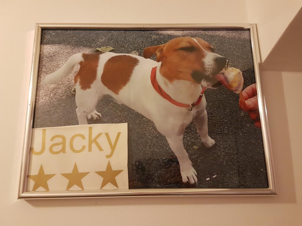 Jacky - City Centar Zágráb Kültér fotó